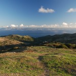 Tarifa